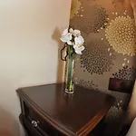 Harmony Butik Alanya