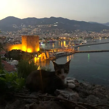 Harmony Butik (adults Only) 2* Alanya