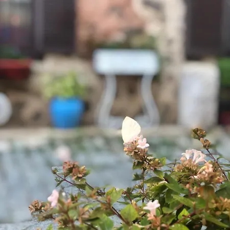 Harmony Butik (adults Only)