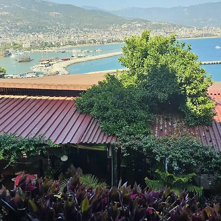 Harmony Butik 2* Alanya