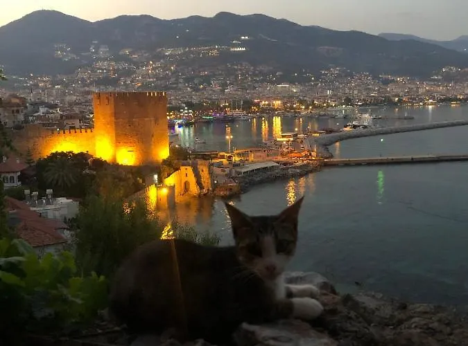 Harmony Butik (adults Only) 2* Аланія