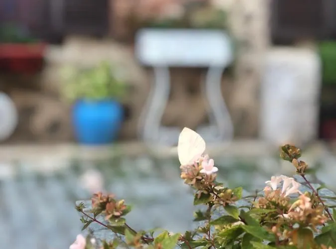 Harmony Butik (adults Only)